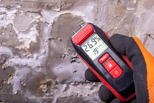 Best Best Mold Removal Companies  in Mcminnville, OR