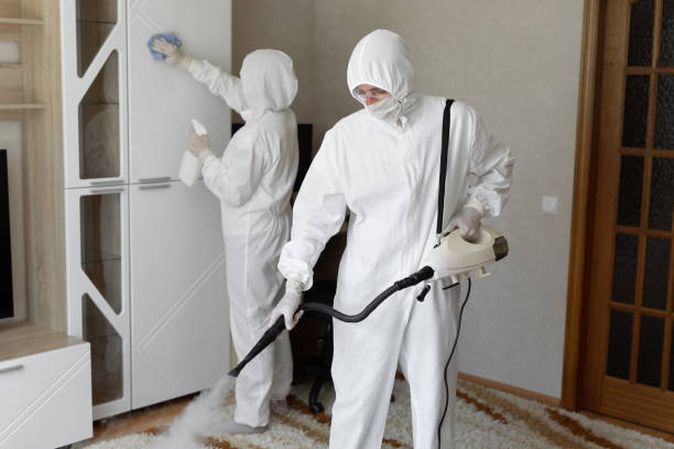 Professional Mold Removal in Mcminnville, OR