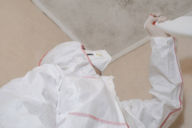 Best Office Mold Removal Services  in Mcminnville, OR