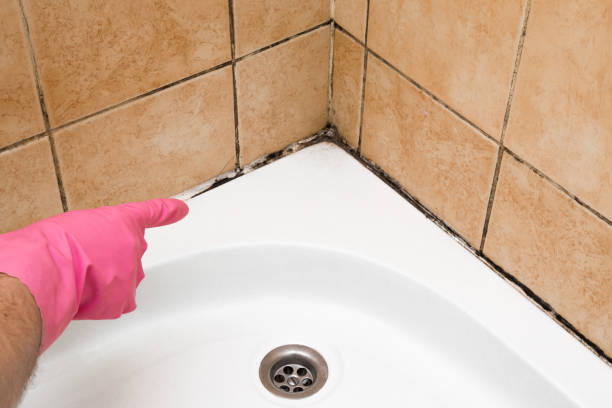 Best Professional Mold Removal  in Mcminnville, OR